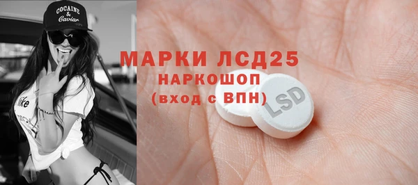 индика Сосновоборск